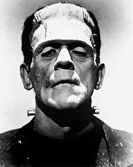 260px Frankenstein S Monster Boris Karloff